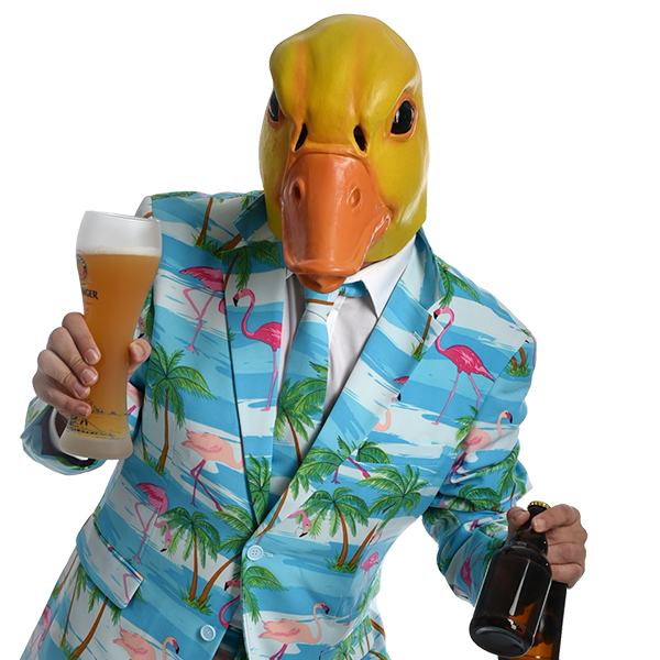 Ingo ohne Flamingo buchen